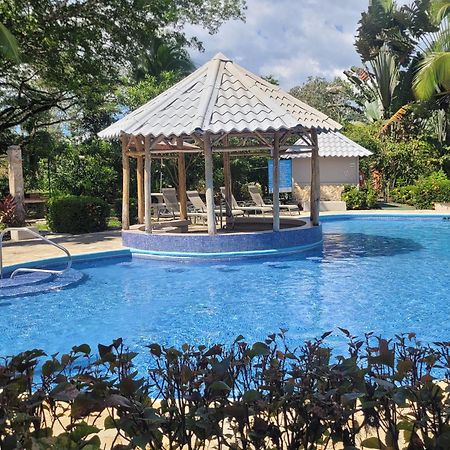 Tropical Bliss Pool Wi-Fi Bbq Near Quepos Manuel Antonio Apartment Екстериор снимка