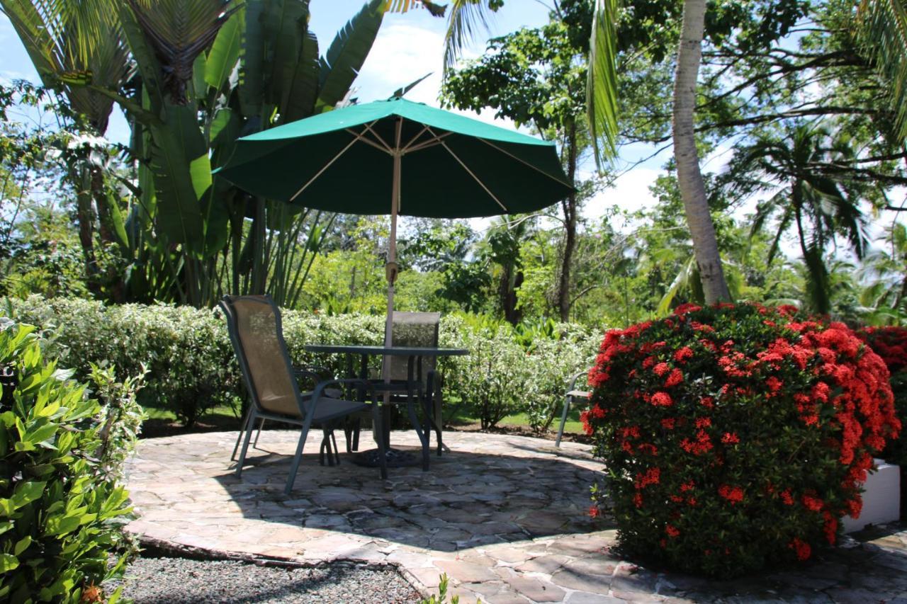 Tropical Bliss Pool Wi-Fi Bbq Near Quepos Manuel Antonio Apartment Екстериор снимка