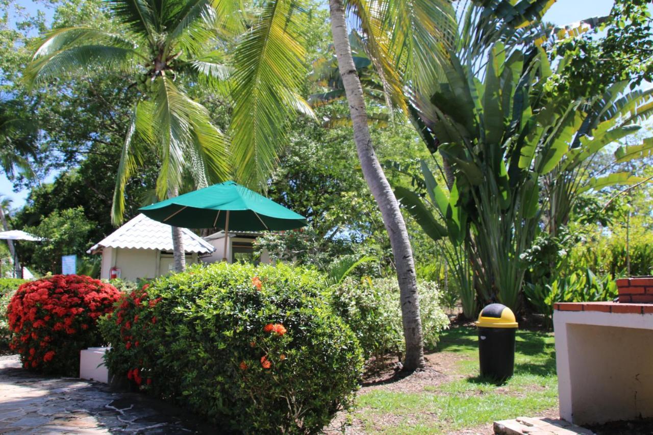Tropical Bliss Pool Wi-Fi Bbq Near Quepos Manuel Antonio Apartment Екстериор снимка